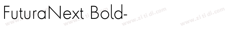 FuturaNext Bold字体转换